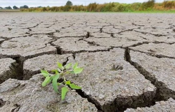 IBI. Exención del IBI rústico del 2023 por la sequía